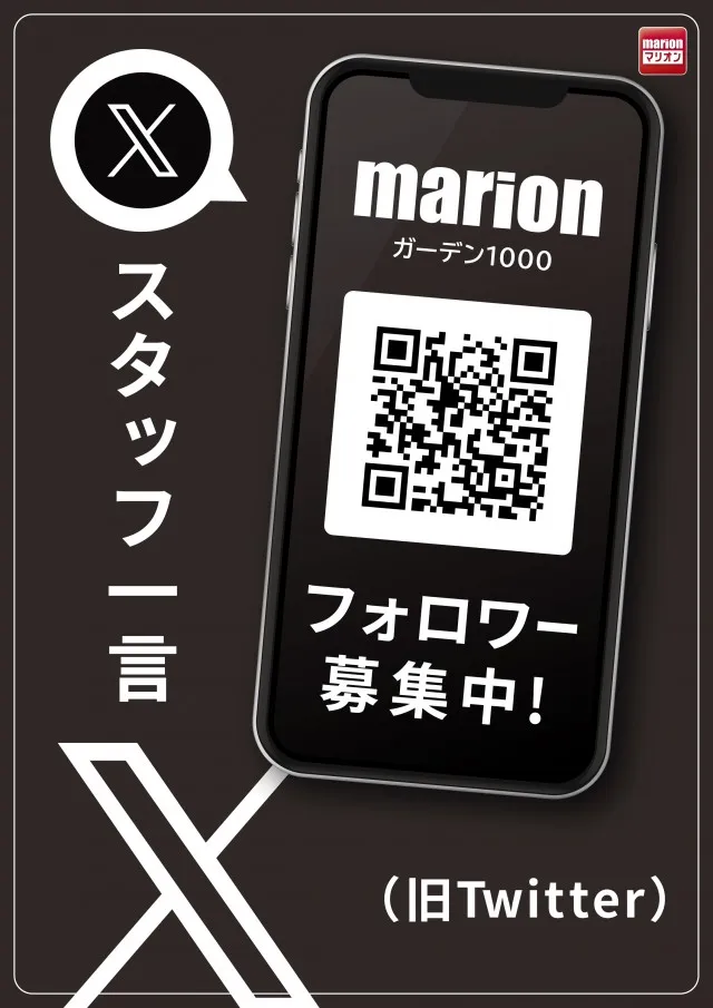 マリオンガーデン1000の最新情報画像