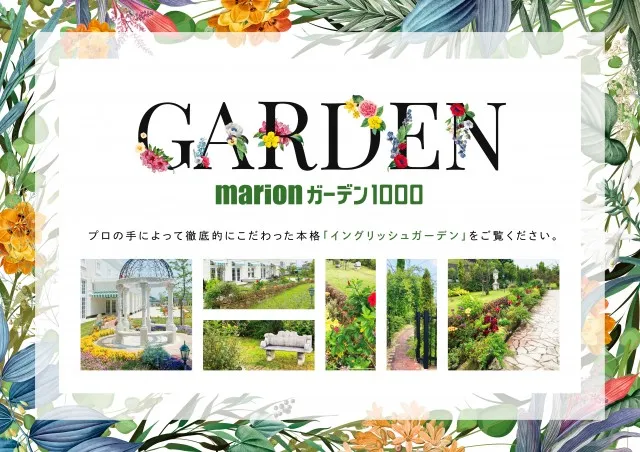 マリオンガーデン1000の最新情報画像