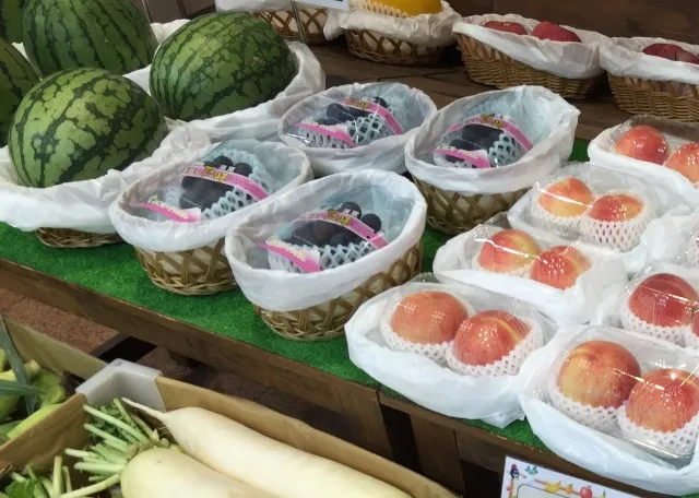 有楽口田店の最新情報画像