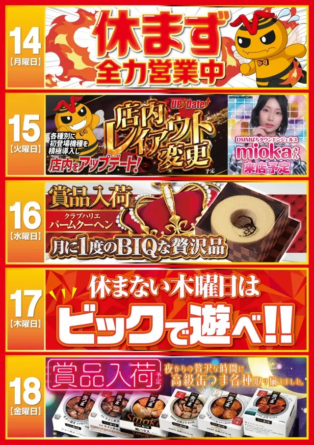 ベガビック1050多治見店の最新情報画像