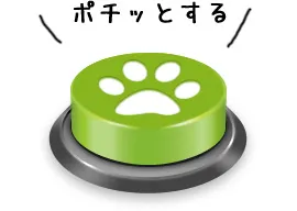 メッセ扇店の最新情報画像