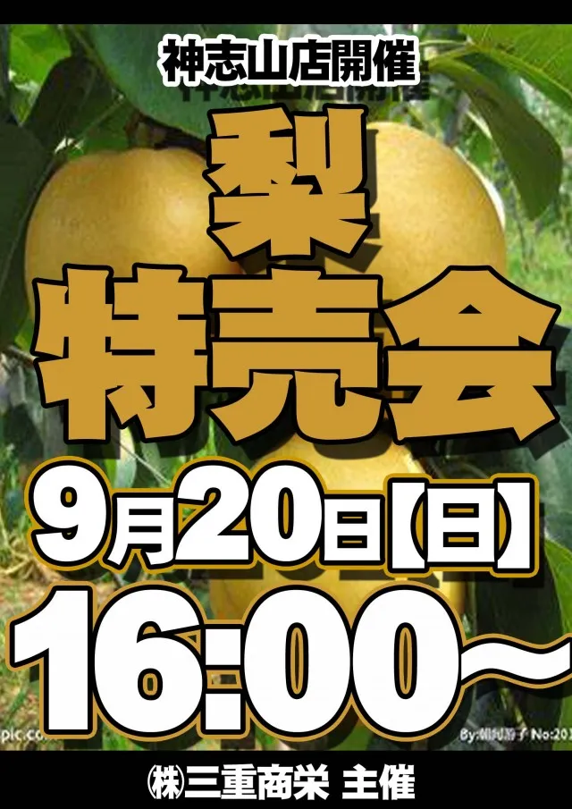 神志山KBシティの最新情報画像