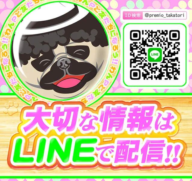 プレミオの最新情報画像