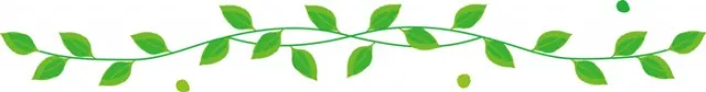 チェリーの最新情報画像