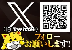 メガフェイス1300淀川の最新情報画像