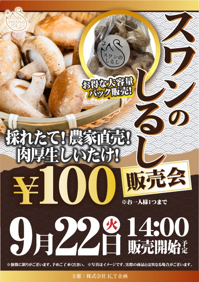 ディーズクラブ新津の最新情報画像