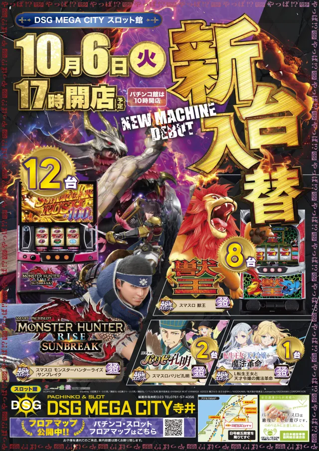 DSG MEGA CITYの最新情報画像
