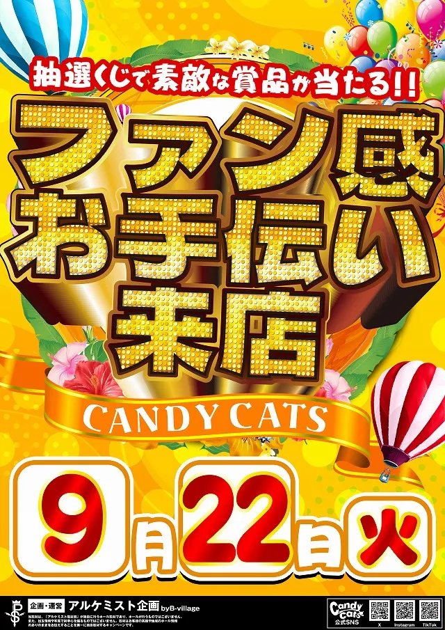 DSGアリーナ高岡店の最新情報画像