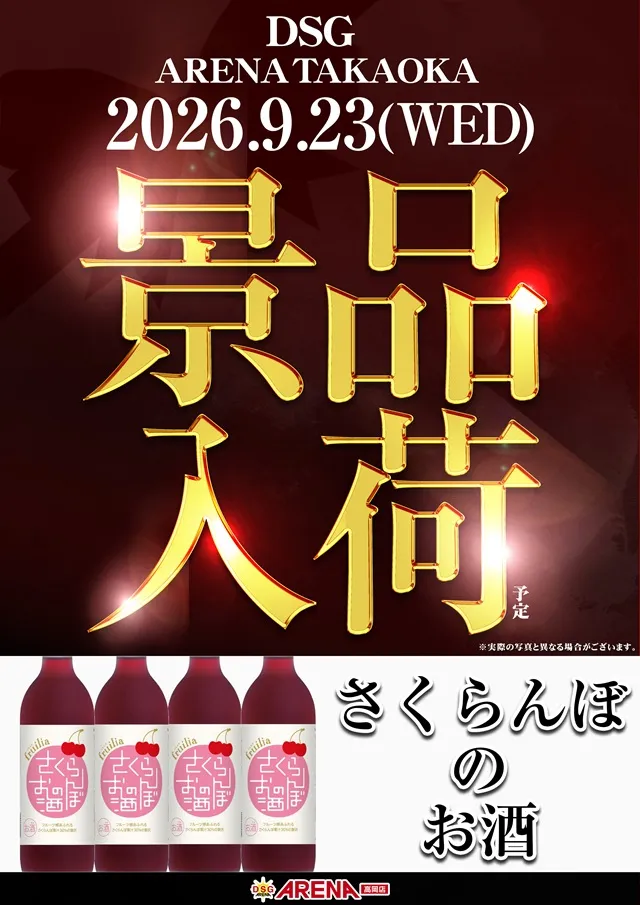 DSGアリーナ高岡店の最新情報画像
