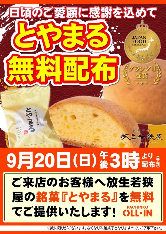 オールインの最新情報画像
