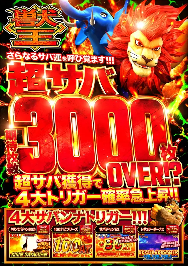 キコーナ小浜店の最新情報画像