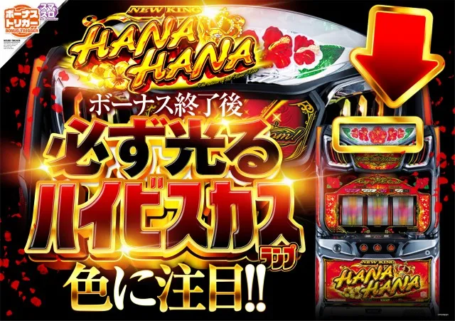 アンコールⅡの最新情報画像