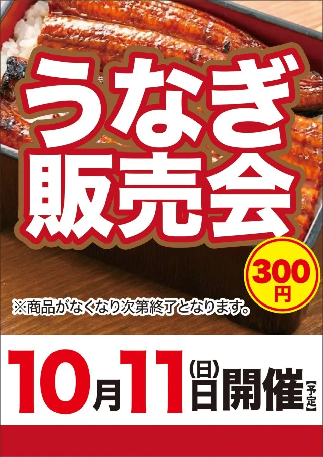ビクトリーⅠの最新情報画像