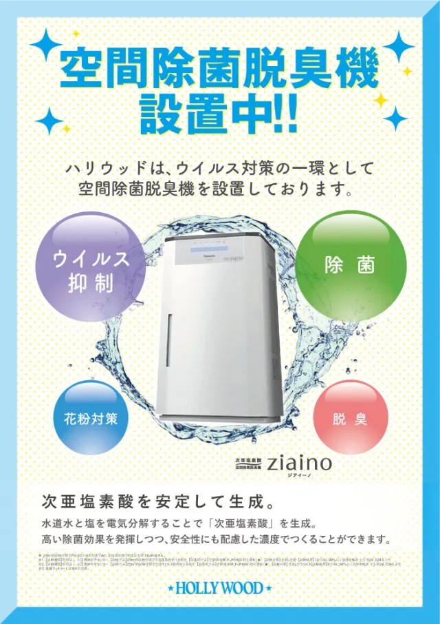 ハリウッドジェビケの最新情報画像
