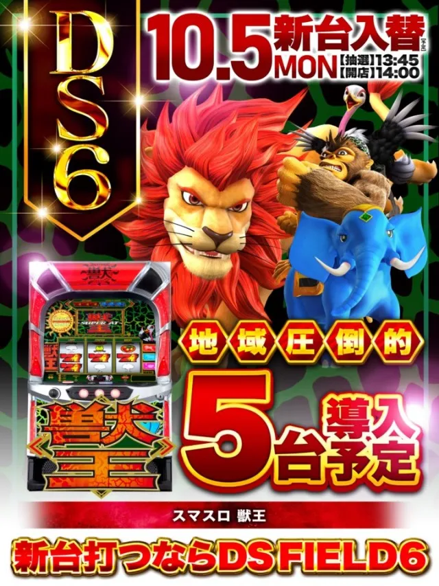 ＤＳ　ＦＩＥＬＤ６総社店の最新情報画像