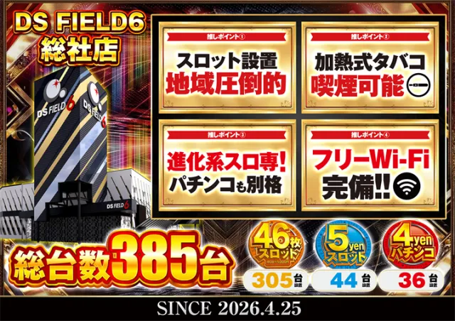 ＤＳ　ＦＩＥＬＤ６総社店の最新情報画像