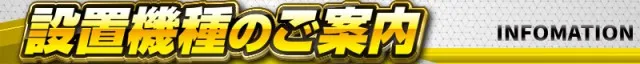 ＤＳ　ＦＩＥＬＤ６総社店の最新情報画像