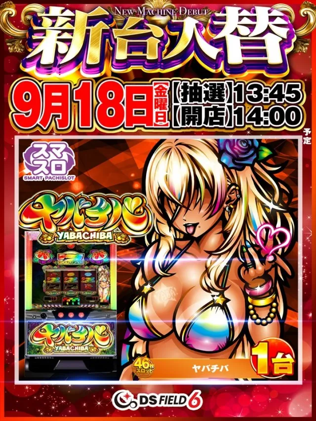 ＤＳ　ＦＩＥＬＤ６総社店の最新情報画像