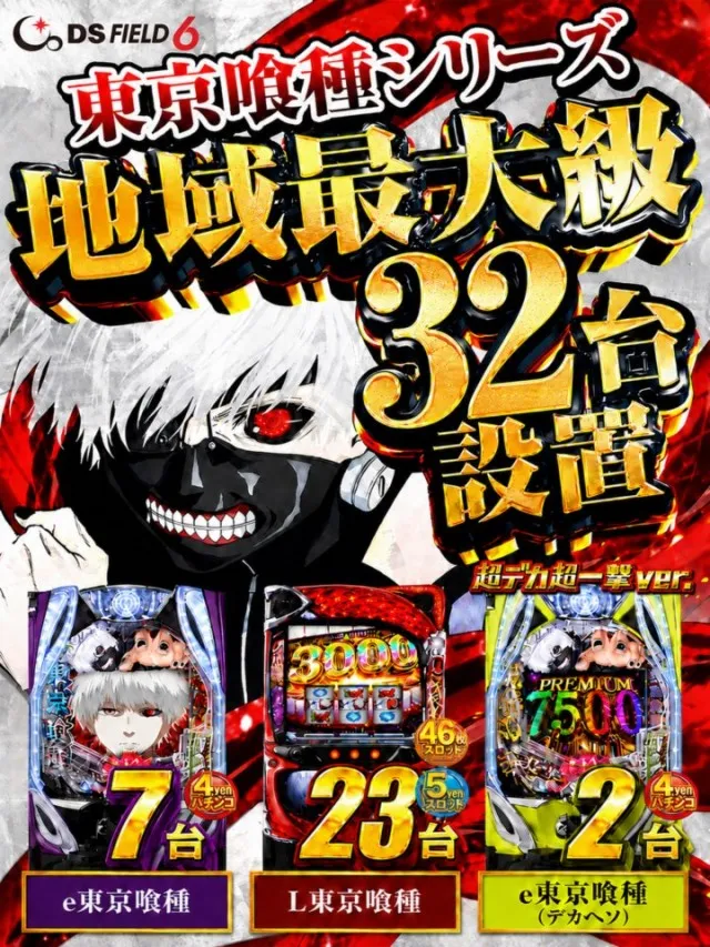 ＤＳ　ＦＩＥＬＤ６総社店の最新情報画像