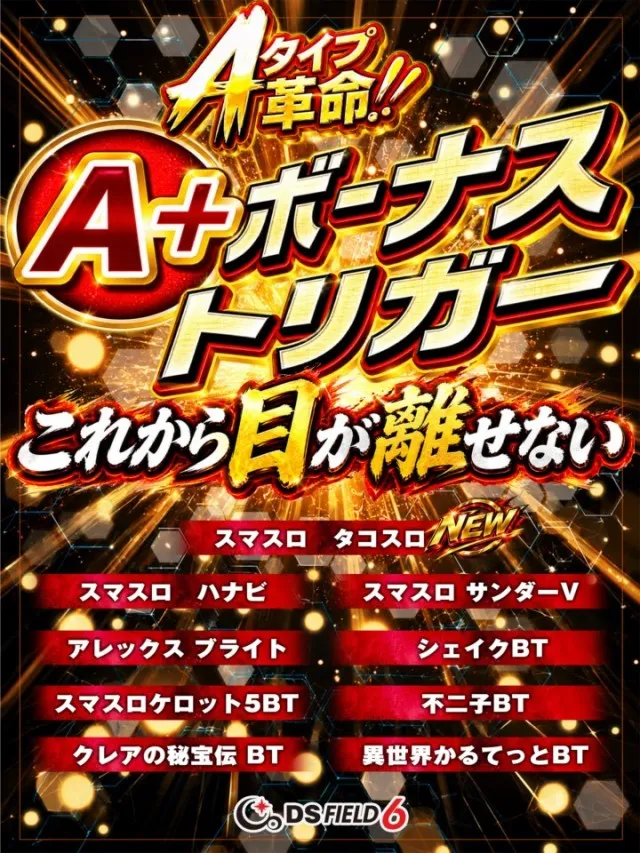 ＤＳ　ＦＩＥＬＤ６総社店の最新情報画像