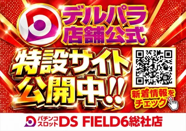 ＤＳ　ＦＩＥＬＤ６総社店の最新情報画像