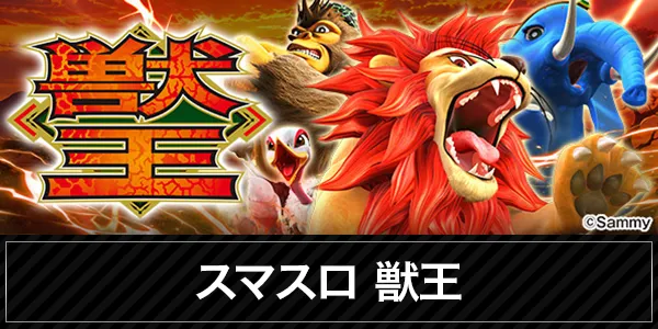 アンコールセブンの最新情報画像