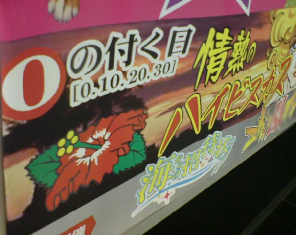 ハイビー２６