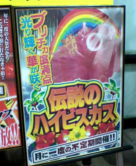 ハイビー２７