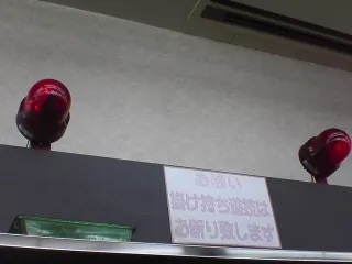 パルサー２５