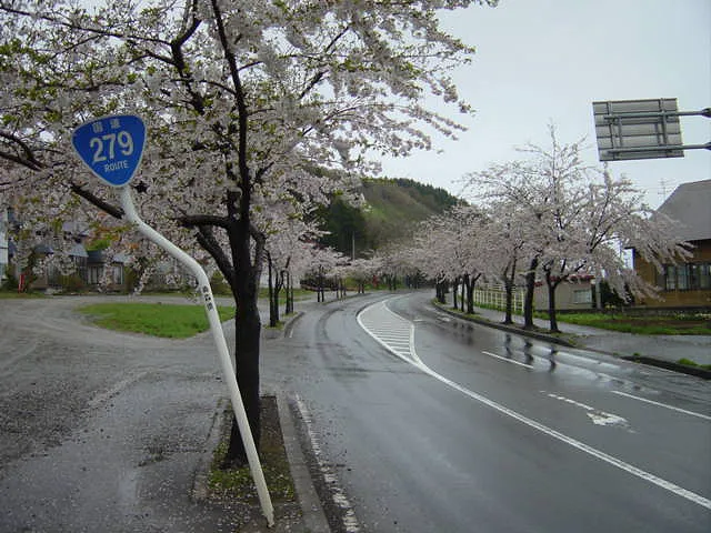 八戸市さくら７