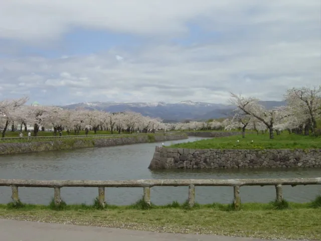 函館さくら６