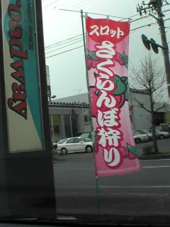 北上秋田さくら２２