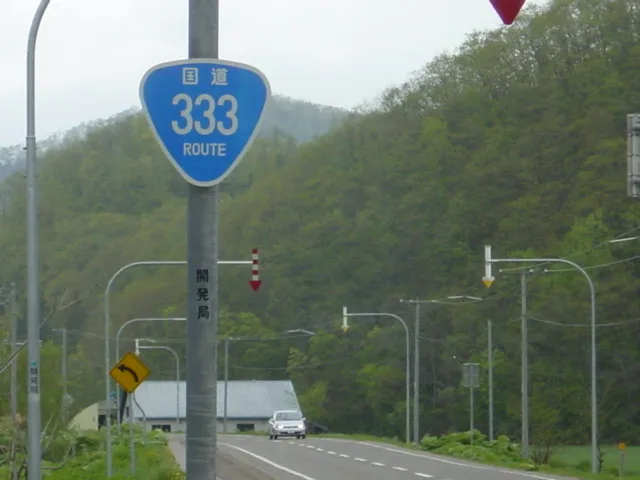 国道３３３号線１