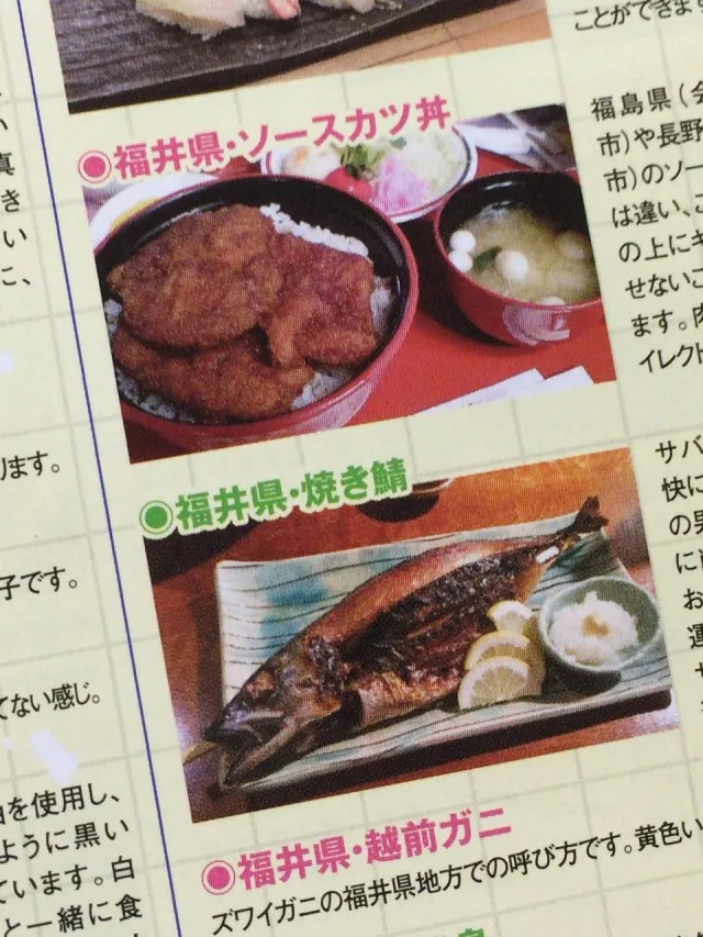 敦賀気比５０
