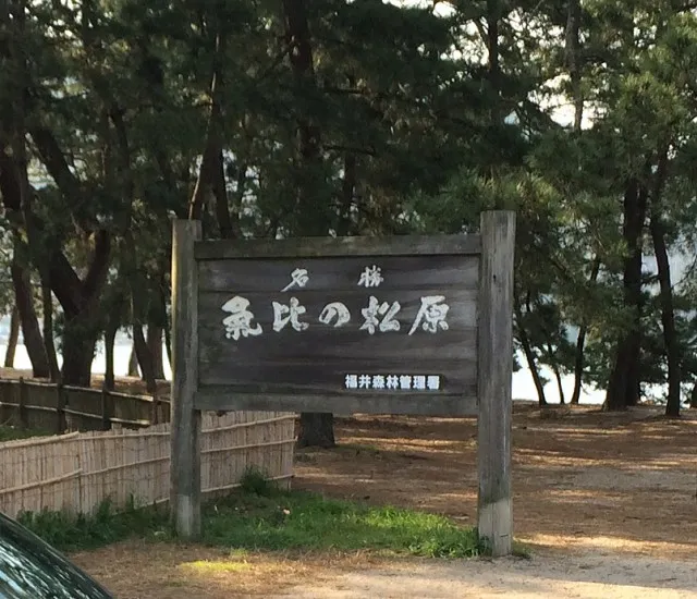 敦賀気比３
