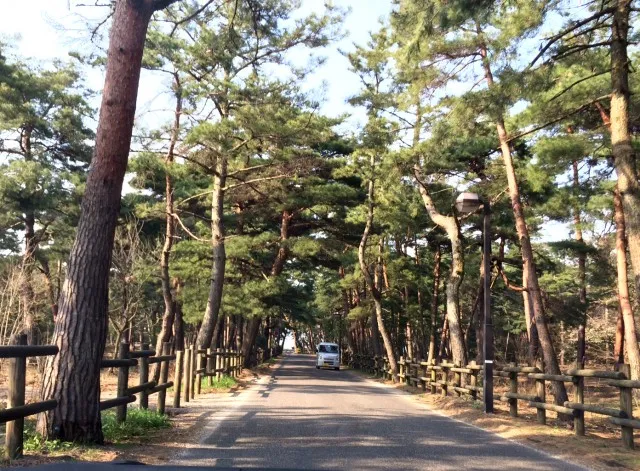 敦賀気比２