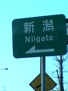 新潟山形さくら１１