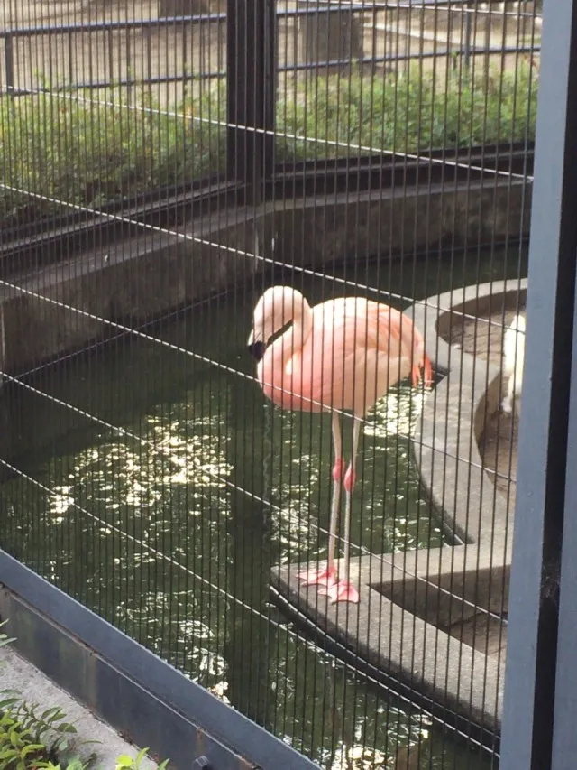 大池公園１０
