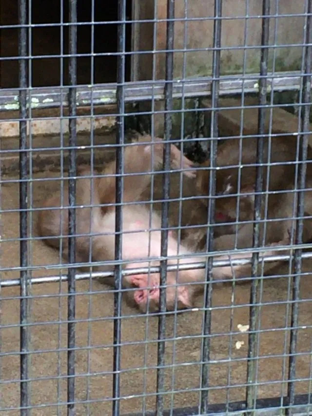 大池公園１２
