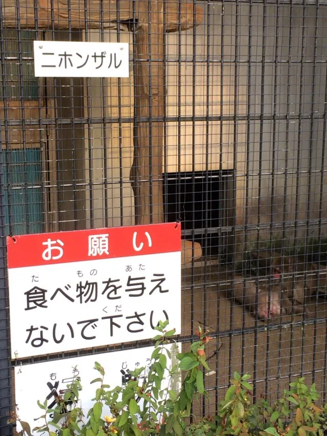 大池公園１１