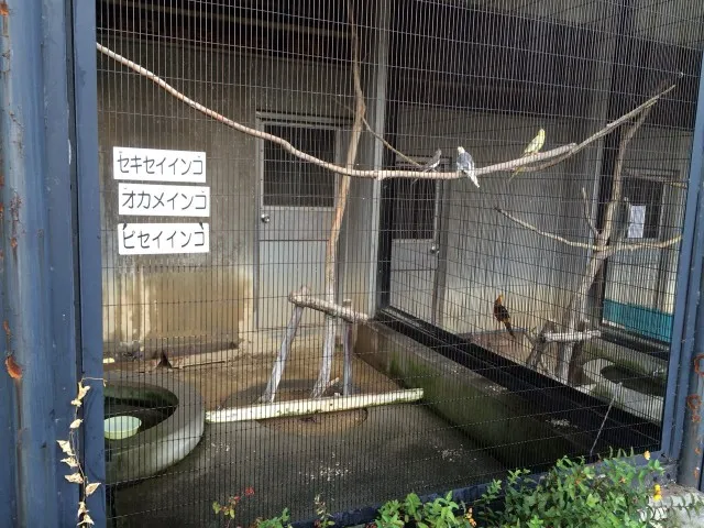 大池公園１３