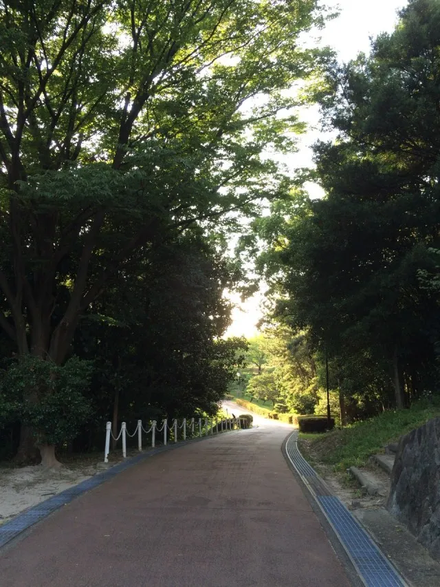 大池公園６