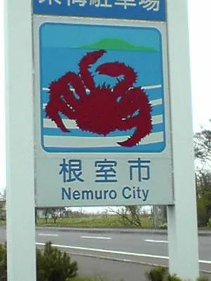根室市のサクラ１０