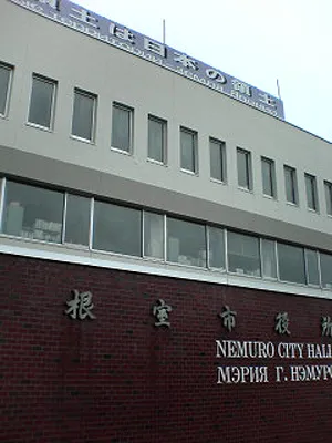 根室市のサクラ３