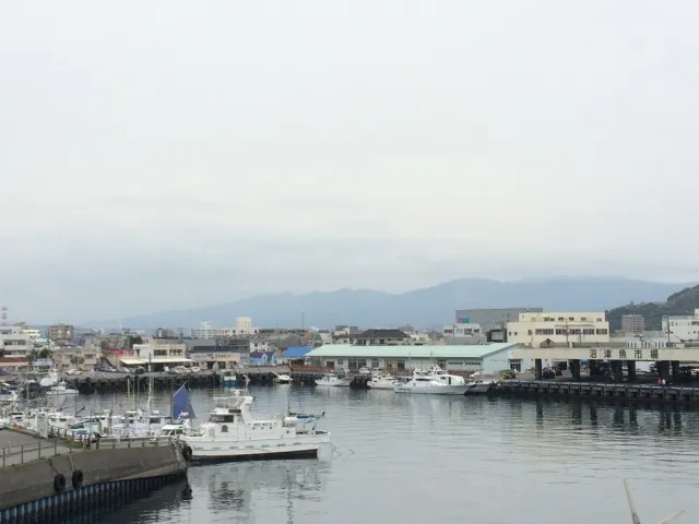沼津市２０１６０１２１－８