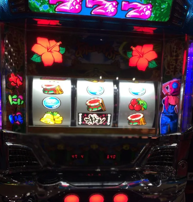 熊本市２０１５１２－１－８