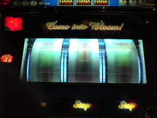 石垣島の片目