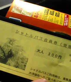 長野福島の桜９