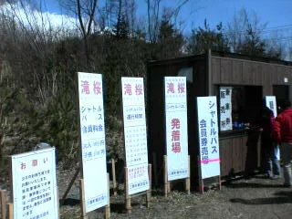 長野福島の桜８