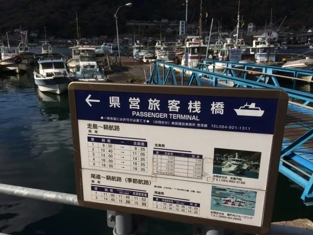 鞆の浦ねこ３